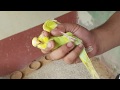 Collecting Baby Budgies From The Colony