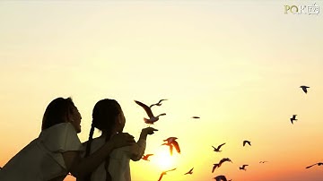 SUN GROUP - LÀM ĐẸP NHỮNG VÙNG ĐẤT! | PQR TV