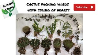 onlineplantsale#viralyoutubesale#trendingplantpacking#beautifulcactus# blossomcorner#homesellers