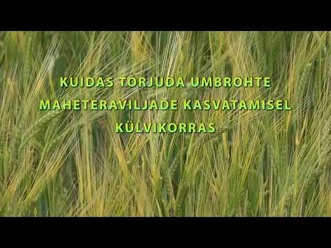 Video: Kuidas tõrjuda õuetaimede lehepuid?