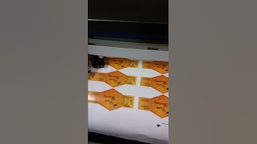 Serengeti Print Group - Die cut stickers on Graphtec