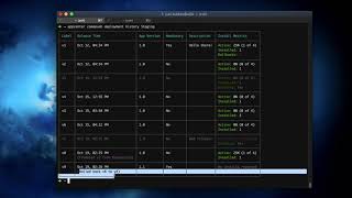 Enhanced CodePush Release Information in the App Center CLI screenshot 4