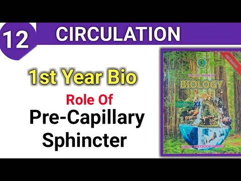 Role of Pre