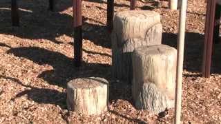 Log Stepper - PlayShaper® - Landscape Structures