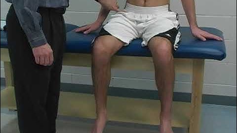 MMT Group Hip Flexion