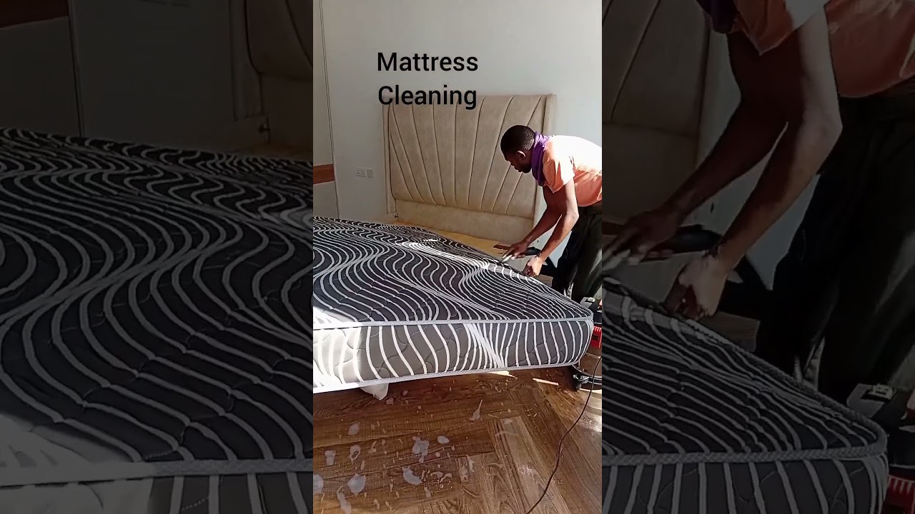 Professional Sofa Cleaning with Integrity Cleaners.