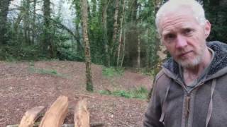 Making a green oak bench at Sharpham