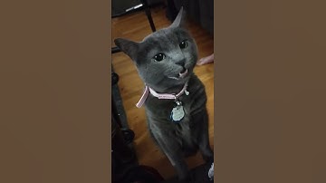 Baby Duck Tape has a lot to say and not enough time to say it all!