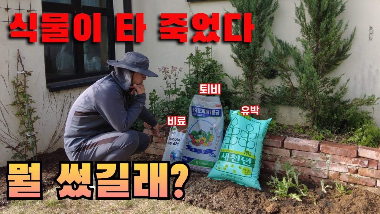 Вы сможете успешно выращивать цветы, если будете знать разницу между компостом, удобрением и жмых...