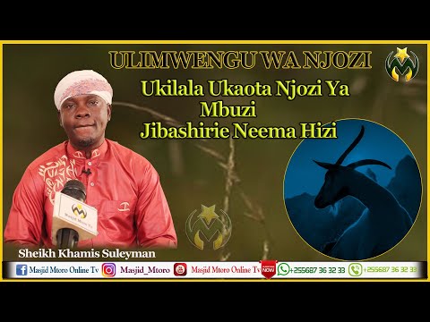 Video: Ni mbuzi au mbuzi?