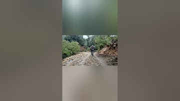 تلاوة هادئة لسورة يس بصوت الشيخ ياسر الدوسري تريح النفس