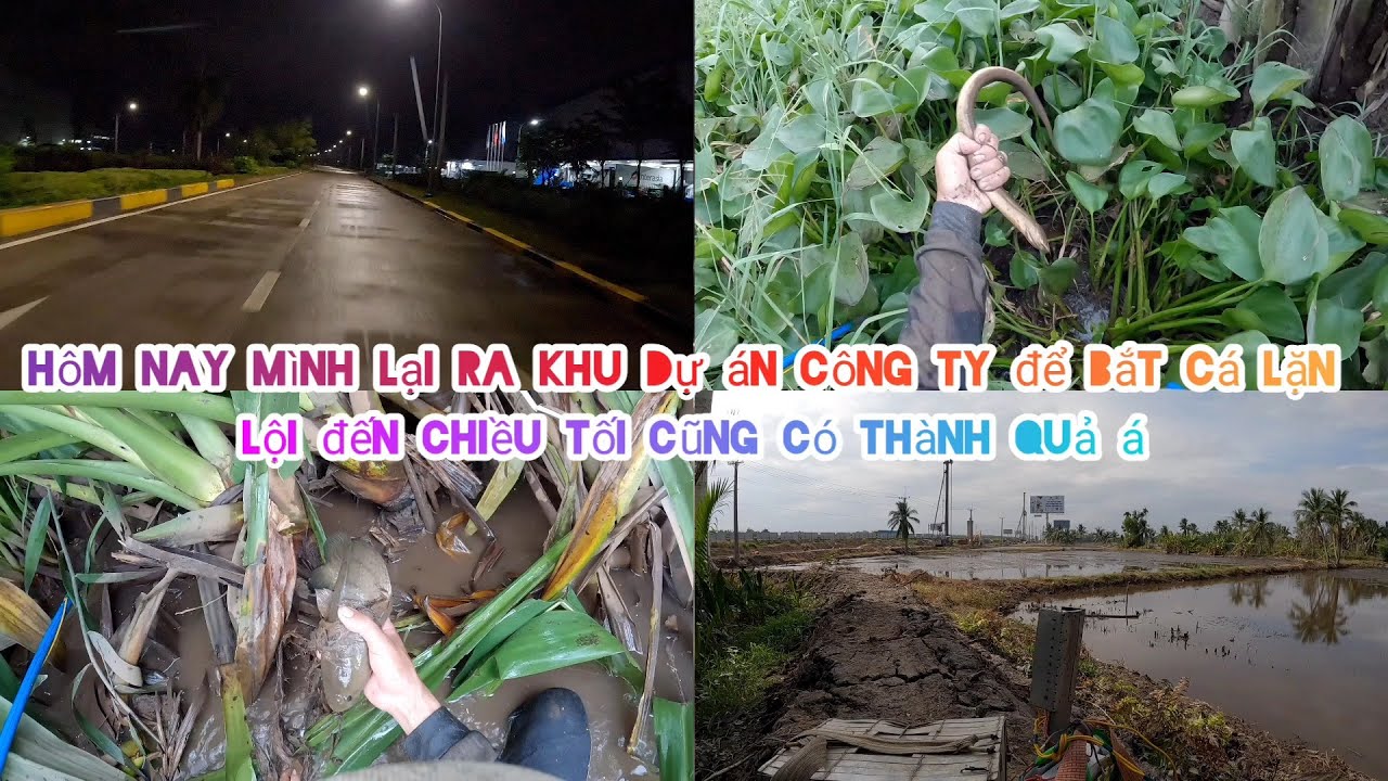 Mình Lặn Lội Mấy Tiếng Đồng Hồ Thành Quả Cũng Được Hơn 7kg Á Quá Vui Luôn