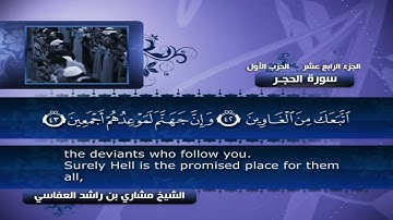 14 - من سورة الحجر إلى سورة النحل الجزء ١٤