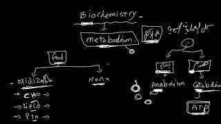 Introduction to biochemistry