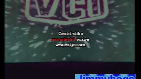 Video City International Logo In Luigi Group