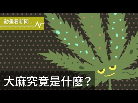 大麻究竟是什麼？