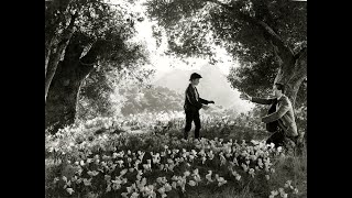 How Green Was My Valley (1941) Movie Review