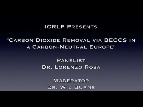 Download Carbon Dioxide Removal via BECCS in a Carbon-Neutral Europe