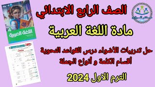 حل تدريبات الأضواء درس أقسام الكلمة و أنواع الجملة للصف الرابع الابتدائي لغة عربية الترم الاول 2024