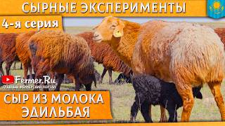 🐑🧀Овечий сыр из молока эдильбая. Натуральный пчелиный воск и лепсинский мед для созревания сыра