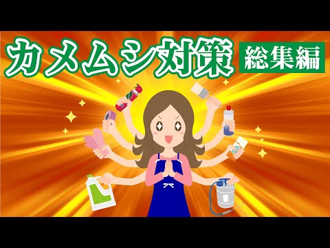 カメムシが大量発生する前に対策を！！カメムシ対策の総集編！！これを見れば、カメムシはもう怖くありません。