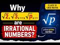Why √2, √3, ..., √p, ... are irrational numbers?