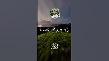 أفلا ينظرون إلى الإبل كيف خلقت || تلاوة هادئة تريح الأعصاب🎧😴سورة الغاشية حالات واتس عبدالله الحميدي