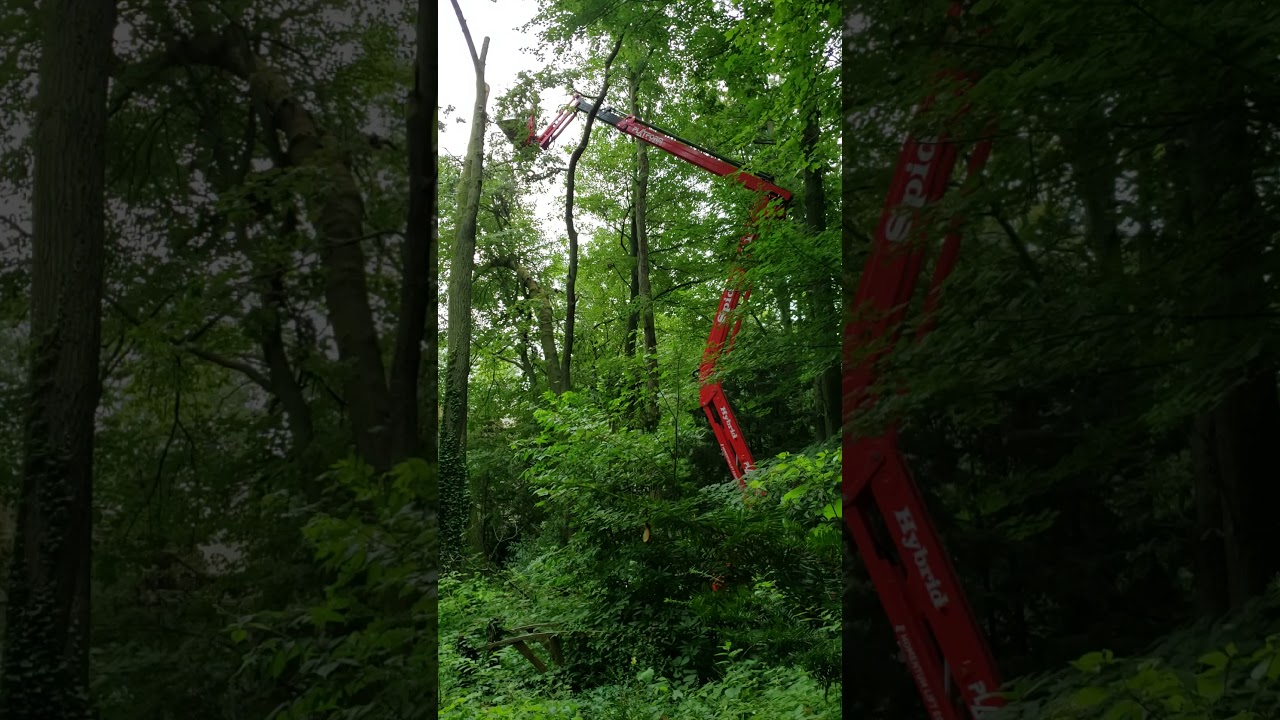 Platform Basket Spider 27.14 (88ft working height) - Birchwood, Mississauga