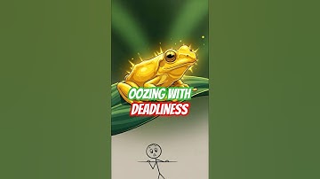 “The Tiny Frog That Can Kill You Instantly 😳