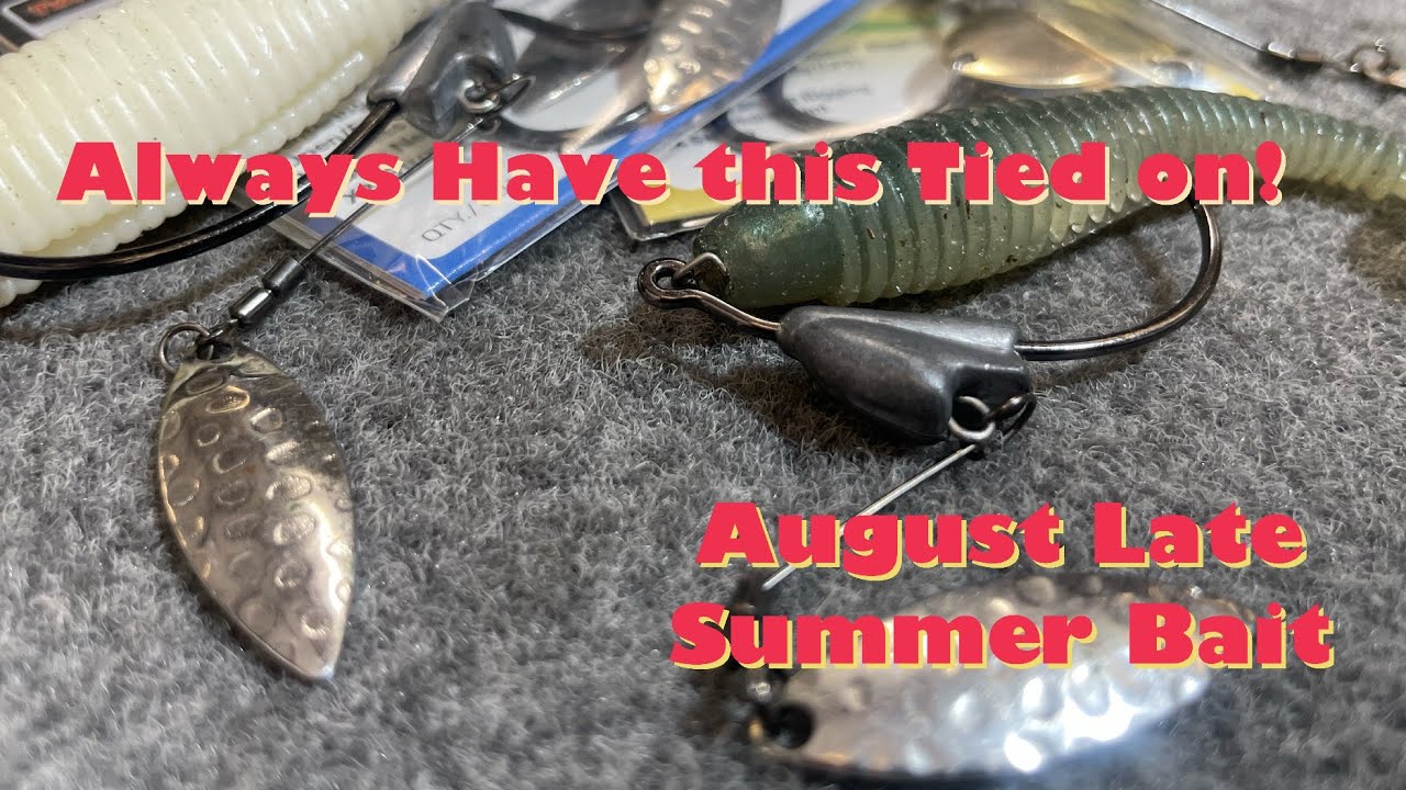 August Bait to Throw – Late Summer presentations | #bassfishing #swimbaits #schoolingfish