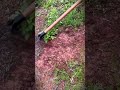 The perfect smart tool for your garden is a sharp hoe #shorts