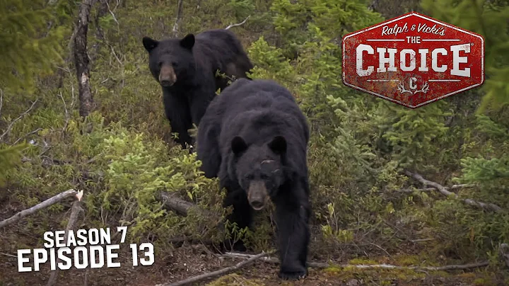 SUB-ARCTIC BLACK BEAR ADVENTURE - The Choice (Full Episode) // S7: Episode 13