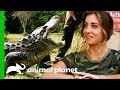 Alligator Catch Inspires A New Volunteer To Join The Everglades Holiday Park | Gator Boys