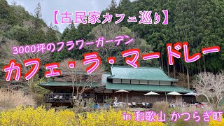 【古民家カフェ巡り】3000坪の敷地にフラワーガーデンと立派な古民家！ #カフェ #ラマードレー #花 #シバ犬 #和歌山 #かつらぎ町