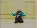 IAIDO - Muso Shinden Ryū - Okuden 奥伝 Oku Iaï - SUWARIWAZA