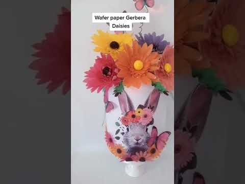 Videó: Gerbera százszorszépek vagytok?