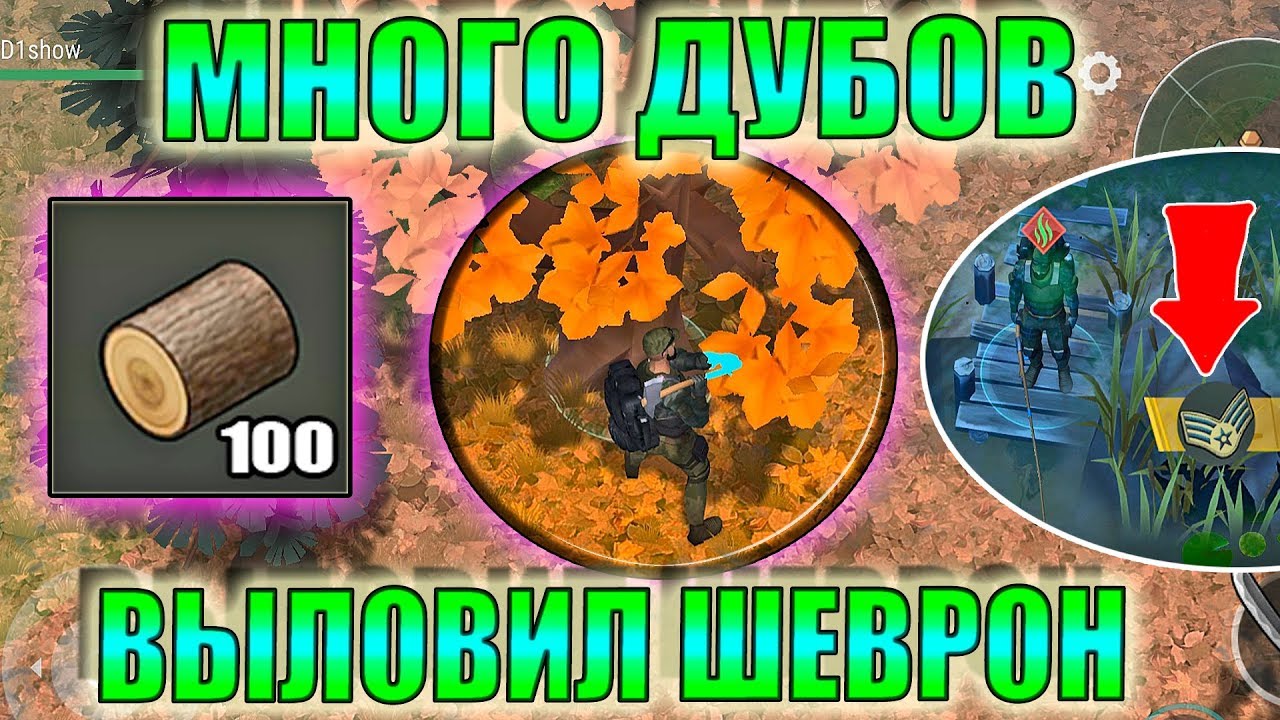 Осаго где брать