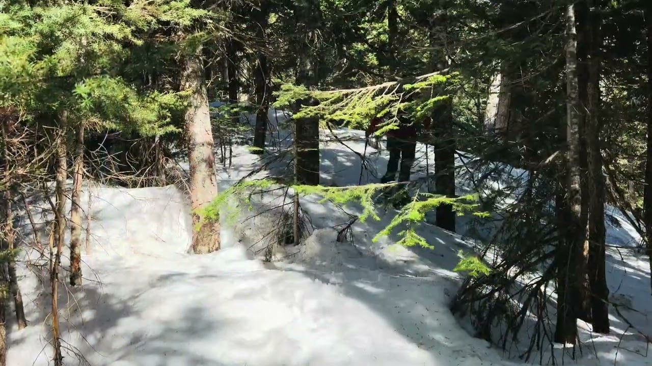 Lookout Peak, Harrison Lake East, BC