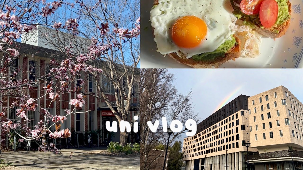 🌸🏫 uni vlog: studying, cherry blossoms on campus and the coast!