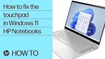 How to fix the touchpad on HP Notebooks running Windows 11 | HP Computers | HP | HP Support