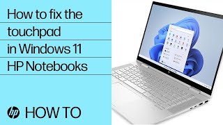 how to fix the touchpad on hp notebooks running windows 11 | hp computers | hp | hp support