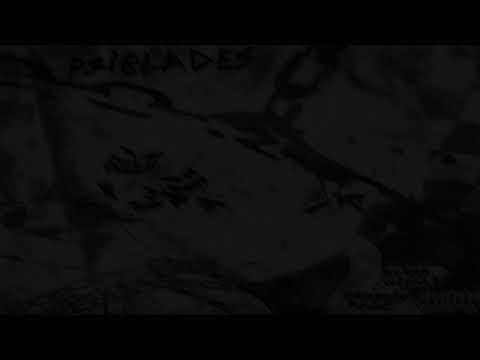 shadowraze,babyswishh1 - psiblades ( текст песни )