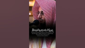 ﴿ أَفَرَءَيۡتُمُ ٱللَّٰتَ وَٱلۡعُزَّىٰ ﴾ تلاوة بديعة حبّرها الشيخ أنس الميمان 🖤🍂