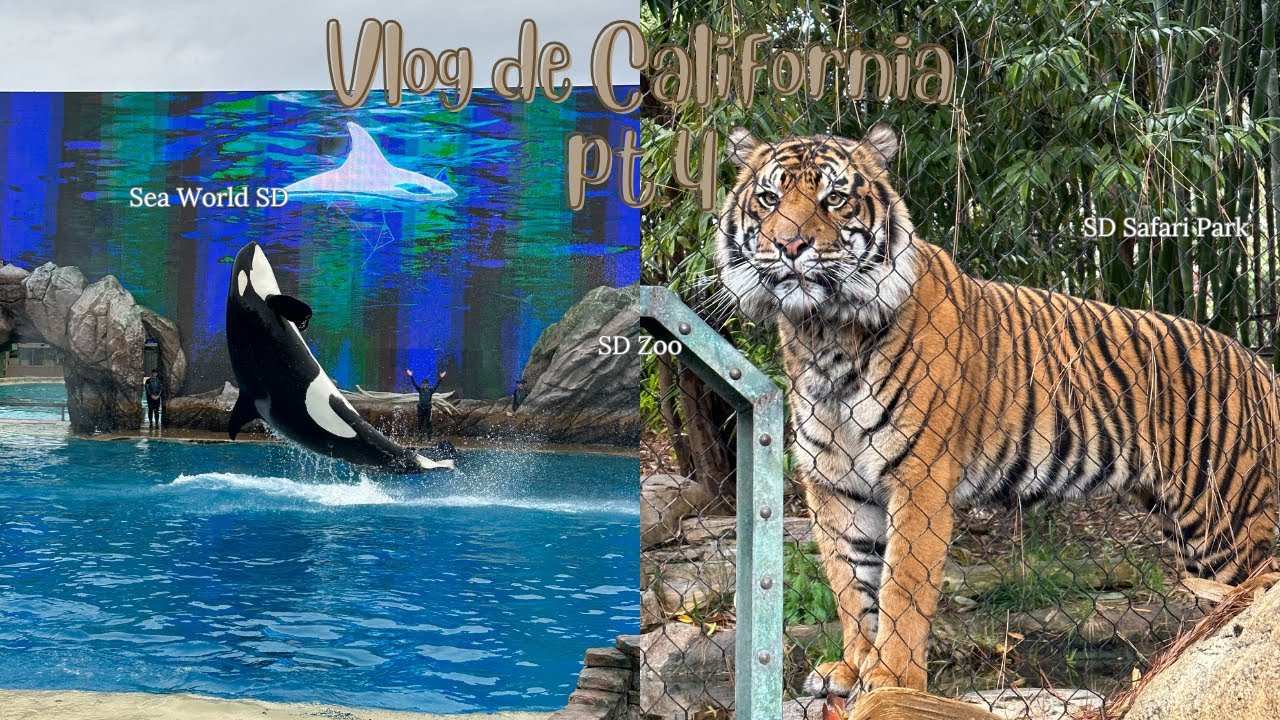 california part IV | san diego zoo/safari park
