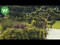 Der asiatische Garten - Bonsai, Bambus und Wasser - Planung und Umsetzung