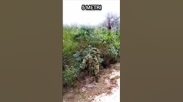 Mimetismo Multicam Tropic (Crye) Macchia mediterranea (Sardegna)