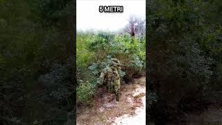 Mimetismo Multicam Tropic (Crye) Macchia mediterranea (Sardegna)