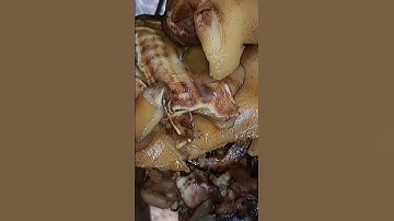 Đột Nhập Khu Nhà Bếp Trong Đám Cưới Người Dao