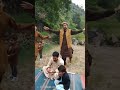 A #memorable #dance by me on a #Pakistani #Pashto #vairel song#funny🤗😘