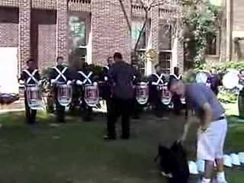 Blue Stars 2004 - Lot 1 - DCI Finals